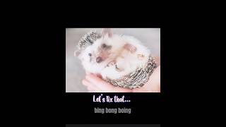 | didn’t my brother do so good on this edit😍😍| aldc.editzz | #hedgehog #strong #fyp #edits #viral