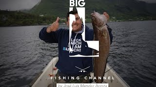 Meerforellen Ekstase / Big L in Norwegen Teil 2 - Angeln auf Mefo Seehecht, Lumb, Dorsch, Lachs