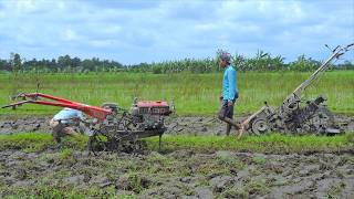 Yanmar VS Kubota Diesel Hand Tractor Turning The Field Over