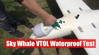 YANGDA Sky Whale VTOL Waterproof Test