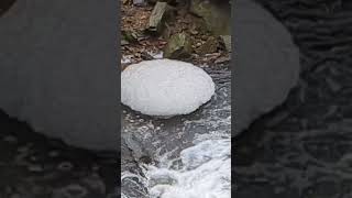 Strange Foam Formation(flying saucer)#abandonedmines