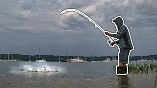 Fishing Points and What To Look For (Back Bay Sod Banks for Striped Bass and Bluefish)