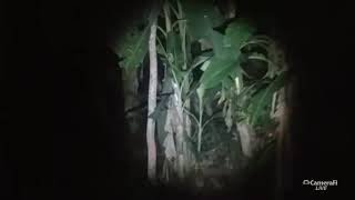 🔴live misteri malam ini || nyusul ke lembah ghoib