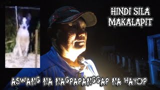 MGA ASWANG NA NAGPAPANGGAP NA HAYOP SA SEMENTERYO #viral #viralvideo