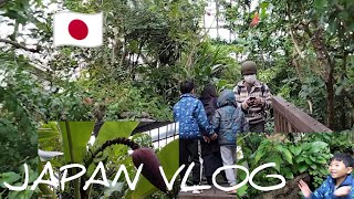 🇯🇵 JAPAN vlog, feel the spirit of nature 😍🥰