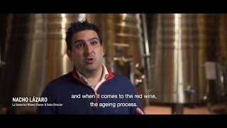 Expert Tip8 WOTY 2018 WHAT DETERMINES THE PRICE OF A WINE