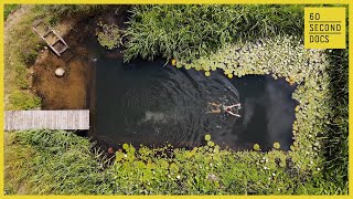 Are Eco-Friendly Pond Pools the Future of Swimming?