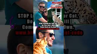 Get your Ashera cat back #bengalcatsworld #missingcat #lostcat