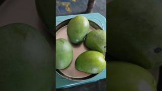 mango cutting ||#sahithiveerlaskitchen #shorts