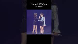 LISA AND JISOO 😅