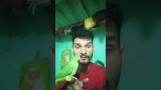 mummy mujhe bukhar Ho Gaya/parrot ko mobile bala bukhar #mittoo #funny