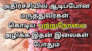 அண்மை ஆராய்ச்சியில் புதிய கண்டுபிடிப்பு முருங்கை இலை மகத்துவம்|Drumstick leaves ‎@HealthTips24Tamil 