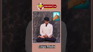 Linga Mudra: How To Do Linga Mudra | Linga Mudra Benefits | Yoga Mudras In Telugu | PMR News