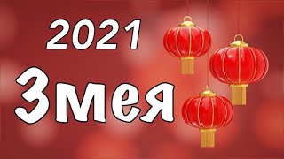 Точный Подробный Гороскоп для Змеи на 2021 год Белого Металлического Быка.