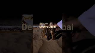 Desert camping Dubai Views