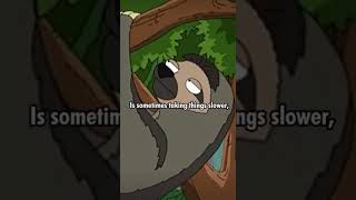 Ask a sloth 😂 #shorts #familyguy