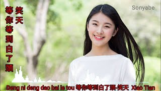 Deng ni deng dao bai le tou 等你等到白了頭-笑天 Xiao Tian