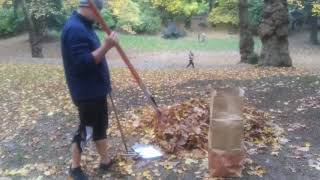 leaf raking park