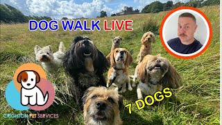 Friday morning DOG WALK - LIVE - 7 Dogs - Crighton Pet Services is live