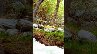 Beauty of my Village | Salim Ki Stories | #nature #naturelover #skardu #satisfying #satisfyingvideo