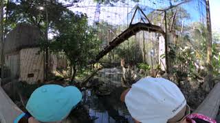 San Antonio Zoo Timelapse in 360° VR! Day 1 of 2