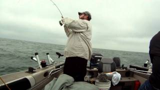 Lake Erie Perch fishing