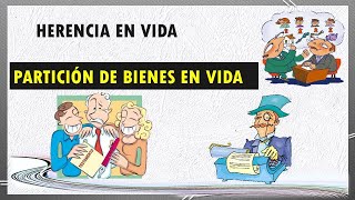 Proceso de partición de bienes en vida - Herencia en vida