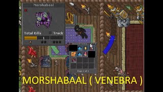 MORSHABAAL Tibia (VENEBRA) - Audio