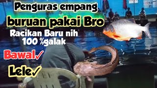 Langsung tes..!!Coba pakai ini bro,,Umpan galak malam hari,,umpan lele dan bawal paling jitu