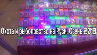 Охота и Рыболовство на Руси. 6-9 сентября 2018.