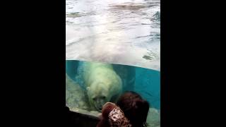 Sophie and Rizzo at Hogle Zoo