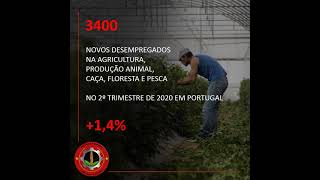 Aumento do desemprego no setor da Agricultura