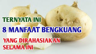 MANFAAT BENGKUANG | RECOMMENDED