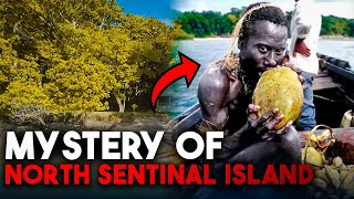 Hidden World: Mysteries of North Sentinel Island Revealed