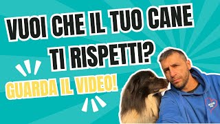 Vuoi che il tuo CANE ti RISPETTI? Guarda questo VIDEO.