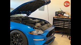 Why you should install an oil separator - 2019 Mustang GT JLT Oil Separator 3.0 Install