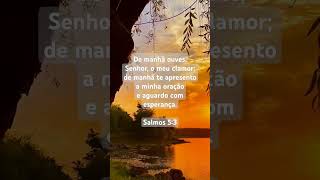 Bom dia Povo de Deus 🤚🏽 #versiculododia #bomdiacomdeus #shortvideo #shortscristão #oração #biblia