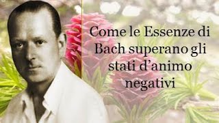 🌷 BACH, Essenze per superare gli stati d'animo negativi.