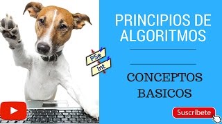 Principio de Algoritmo | Conceptos Básicos