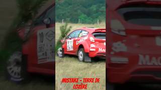 Rally Mistake - Ford Fiesta Rally2 R5 #rally #rallye #crash #rallycrash #rallyecrash #mistakes #fail