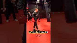 Julio César Chávez y Rolando Lazy Boy Rodríguez UFC 🥊🥊