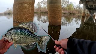 CRAPPIE (sac-a-lait) Bridge Fishing | Atchafalaya Basin