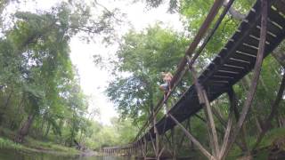 Blue Springs Park Boardwalk Jump