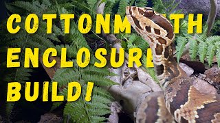 Building a VENOMOUS COTTONMOUTH Enclosure!