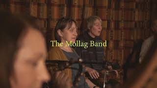 The Mollag Band