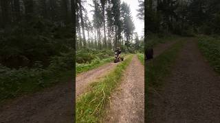 Baboon Electric Scooters 🛵 | Farleigh Wallop Estate