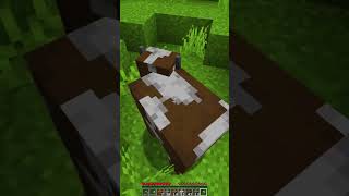 SHORTEST #short in the WORLD What happens when you kill a cow in Minecraft? #minecraft