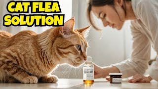 How to apply flea medicine to cats