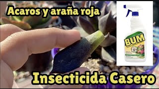 BOOM mi insecticida favorito, araña roja, ácaros, arañuela acabalos