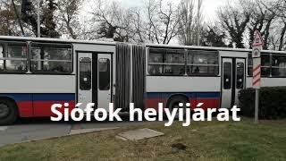 A legleső csuklós busz Siófokon. Ikarus C80.